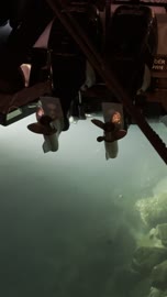 مراسي يخوت حديثة وخدمات بحرية متطورة، نادي اليخوت فى جدة، المملكة العربية السعودية، مرافق سياحية وترفيهية راقية، وجهة بحرية ساحلية على ساحل البحر الأحمر، مطاعم ومقاهي مطلة على المارينا، تصميم معماري عصري، أجواء فاخرة تجمع الترفيه والاستجمام.