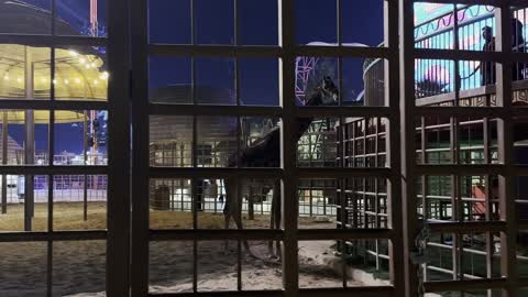 غابة الحيوانات في بوليفارد الرياض في شمال الرياض في المملكة العربية السعودية، مكان ترفيهي عائلي، وجهة ترفيهية ضخمة، تجربة تجمع بين التسوق والترفيه والمأكولات العالمية والمحلية، من11 أكتوبر 2025 حتى 2 مايو 2026