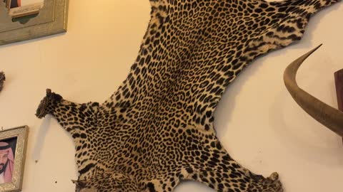 أجواء تراثية تعكس أصالة الماضي في متحف الفوة والجوهرة في المنطقة الشرقية، المملكة العربية السعودية،تجربة ثقافية تعليمية،  توثيق للحرف اليدوية والهوية السعودية، مقتنيات نادرة، معلم تراثي وثقافي يعرض تاريخ الأزياء والحلي التقليدية.