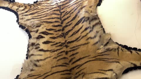 أجواء تراثية تعكس أصالة الماضي في متحف الفوة والجوهرة في المنطقة الشرقية، المملكة العربية السعودية،تجربة ثقافية تعليمية،  توثيق للحرف اليدوية والهوية السعودية، مقتنيات نادرة، معلم تراثي وثقافي يعرض تاريخ الأزياء والحلي التقليدية.