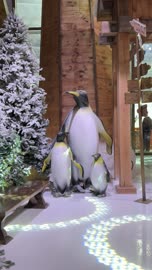 ديكور ثلجي  في تجربة كورشيفل فى منطقة بوليفارد وورلد بالرياض، المملكة العربية السعودية يوم 25 من نوفمبر 2025، فعالية ترفيهية شتوية مستوحاة من أجواء منتجعات التزلج الأوروبية،  مطاعم ومقاهي بطابع شتوي، أنشطة تفاعلية ممتعه، أجواء فاخرة تجمع الترفيه والاستجمام.