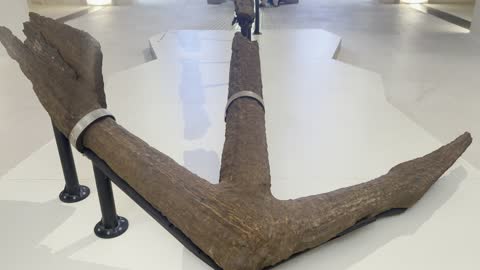 معلم ثقافي ومعرفي يوثق تاريخ الملاحة والبيئة البحرية، متحف البحر الأحمر بمدينة جدة، المملكة العربية السعودية، يوم 6 من ديسمبر 2025 ، معروضات وخرائط تفاعلية تحكي قصة البحر الأحمر، تراث بحري وصناعات تقليدية، تجربة تعليمية وسياحية، وجهة ثقافية تعكس هوية جدة الساحلية.