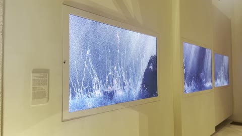 تقديم تجربة ثقافية سياحية للزوار عبر شاشات العرض الالكترونية فى متحف البحر الأحمر بمدينة جدة، المملكة العربية السعودية، يوم 6 من ديسمبر 2025 ، خرائط تفاعلية تحكي قصة البحر الأحمر، تراث بحري وصناعات تقليدية، معلم ثقافي ومعرفي يوثق تاريخ الملاحة والبيئة البحرية، وجهة ثقافية تعكس هوية جدة الساحلية.