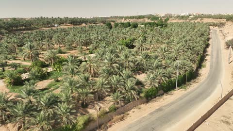 The green trees and plants in the mountainous areas, a center and a famous historical cultural and tourist landmark in Saudi Arabia at night, the illuminated Al-Bujairi Park and overlook during the day, the development project of the historical Diriyah in the city of Riyadh, Saudi Arabia, the heritage village and archaeological buildings.