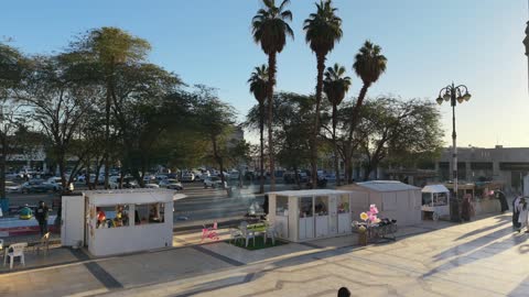 1768840589rZesqrAQm6