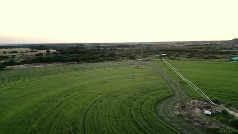 ارض خضراء واسعة في المملكة العربية السعودية، تصوير درون لحصاد العلف الاخضر في منطقة مكة المكرمة، المحافظة على الموارد المائية