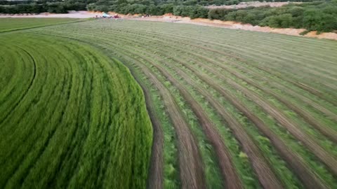 ارض خضراء واسعة في المملكة العربية السعودية، تصوير درون لحصاد العلف الاخضر في منطقة مكة المكرمة، المحافظة على الموارد المائية