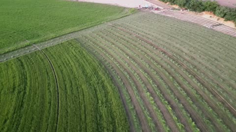 ارض خضراء واسعة في المملكة العربية السعودية، تصوير درون لحصاد العلف الاخضر في منطقة مكة المكرمة، المحافظة على الموارد المائية