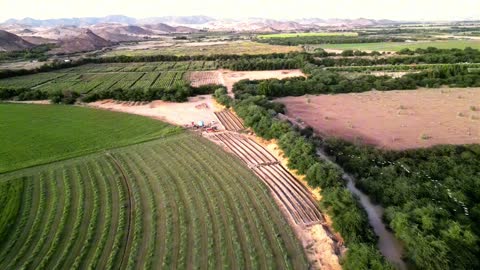 ارض خضراء واسعة في المملكة العربية السعودية، تصوير درون لحصاد العلف الاخضر في منطقة مكة المكرمة، المحافظة على الموارد المائية