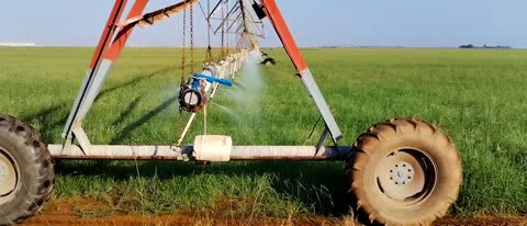 The pivot irrigation arm for irrigating agricultural land, the fodder farm in the city of Jizan in the south of the Kingdom of Saudi Arabia, conserving water resources.