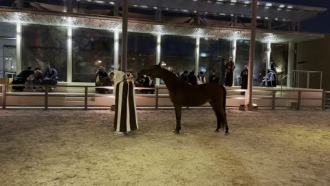 رعاية المواشي والثدييات في البادية، حيوانات التنقل والسفر في القدم، المباني الأثرية والبيوت الطينية في حي الطريف في الدرعية، هواية ركوب الخيل العربي الاصيل