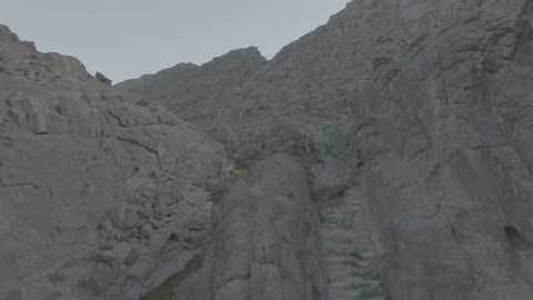 The plateaus, hills, and rocky mountains in the desert, a water pond in the middle of an oasis in the desert nature, the natural reserves in the Kingdom of Saudi Arabia, recreational safari areas, the growth of wild plants in the deserts.