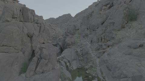 The plateaus, hills, and rocky mountains in the desert, a water pond in the middle of an oasis in the desert nature, the natural reserves in the Kingdom of Saudi Arabia, recreational safari areas, the growth of wild plants in the deserts.