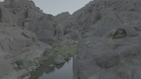 الهضاب والتلال والجبال الصخرية في الصحراء, بركة ماء وسط واحة في الطبيعة الصحراوية, المحميات الطبيعية في المملكة العربية السعودية, مناطق رحلات السفاري الترفيهية، نمو النباتات البرية في الصحاري