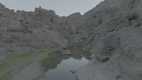 The plateaus, hills, and rocky mountains in the desert, a water pond in the middle of an oasis in the desert nature, the natural reserves in the Kingdom of Saudi Arabia, recreational safari areas, the growth of wild plants in the deserts.