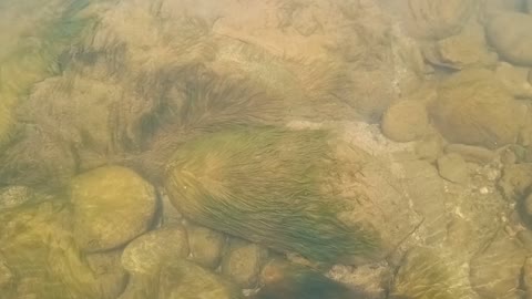 مكان طبيعي في المملكة العربية السعودية، تجمع مياه السيول والامطار