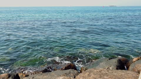 فيديو الشاطئ الصخري وأمواج المحيط في النهار