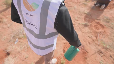 Volunteer Watering Plants in Desert Reforestation Project