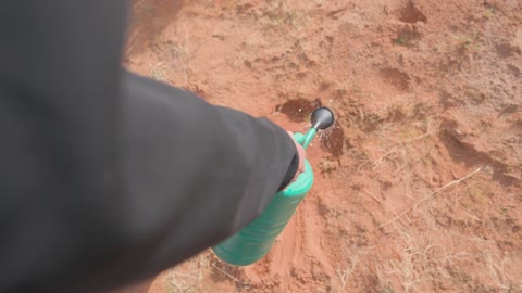 Person Watering Desert Sand Planting Reforestation