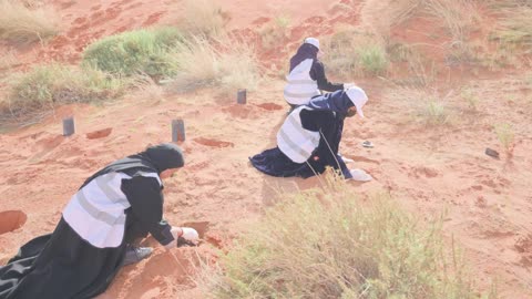 الزراعة في محمية الملك عبد العزيز الملكيه في السعوديه