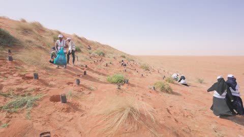 الزراعة في محمية الملك عبد العزيز الملكيه في السعوديه