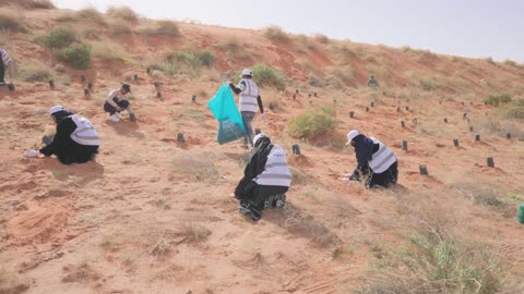 الزراعة في محمية الملك عبد العزيز الملكيه في السعوديه