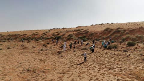 الزراعة في محمية الملك عبد العزيز الملكيه في السعوديه