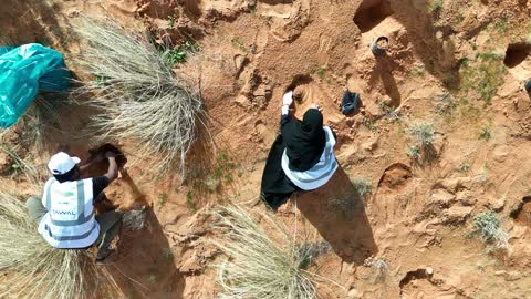Aerial View of Volunteers Planting Trees in Desert