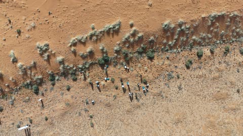 الزراعة في محمية الملك عبد العزيز الملكيه في السعوديه