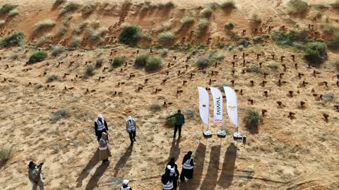 Saudi Desert Tree Planting Reforestation Initiative