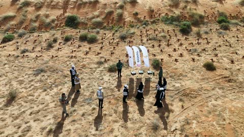 Saudi Arabia Desert Reforestation Tree Planting Aerial