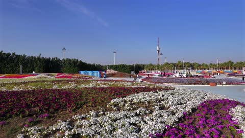 مهرجان الزهور والحدائق في مدينة ينبع السعودية
