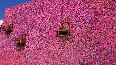 Yanbu Flower Wall with Ornate Chairs Saudi Arabia