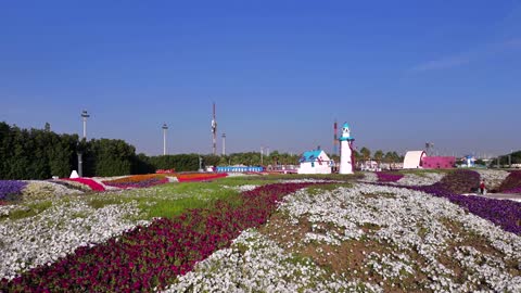 مهرجان الزهور والحدائق في ينبع السعودية
