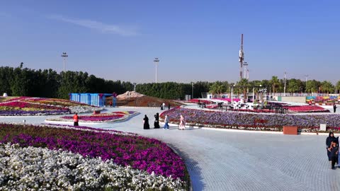 مهرجان الزهور ينبع المملكة العربية السعودية