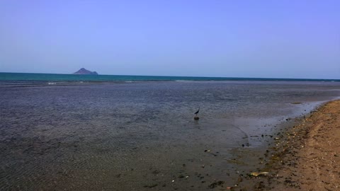 Kadmanbal Island Jazan Red Sea Beach Coastline