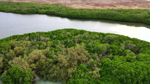 Farasan Island Jizan Mangrove Aerial Drone Footage