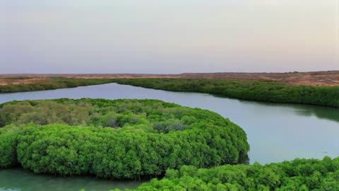 Farasan Island Jizan Mangrove Aerial Drone Footage