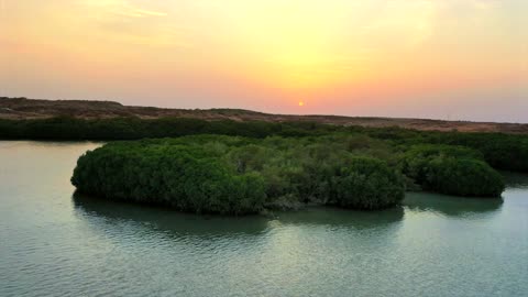 غروب الشمس فوق غابات المانجرو جزر فرسان جيزان