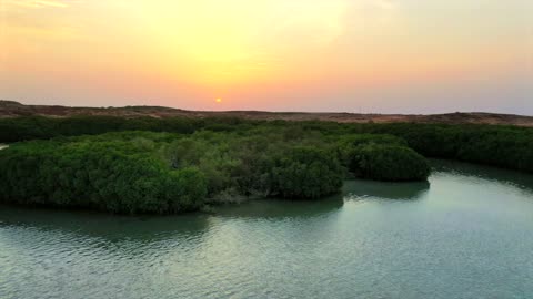 غروب الشمس فوق غابات المانغروف في جزيرة فرسان جيزان