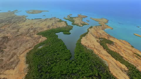 Farasan Island Jazan Aerial Mangrove Forest Video