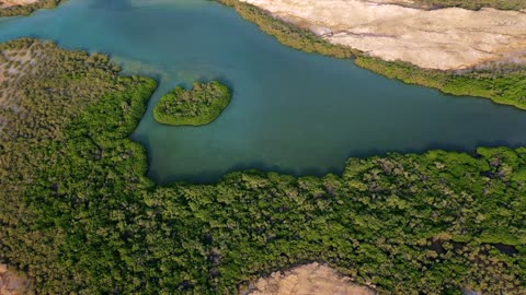 Farasan Island Jizan Mangrove Aerial Drone Footage