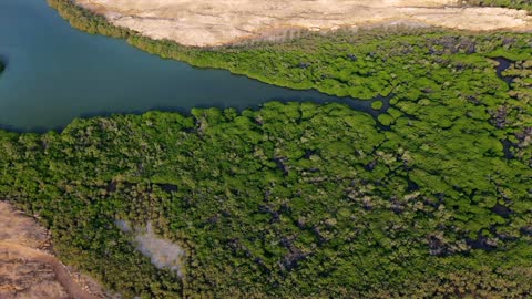 جزر فرسان جيزان غابات المانغروف لقطة جوية