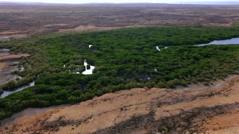 Farasan Islands Jizan Mangroves Aerial Drone Footage