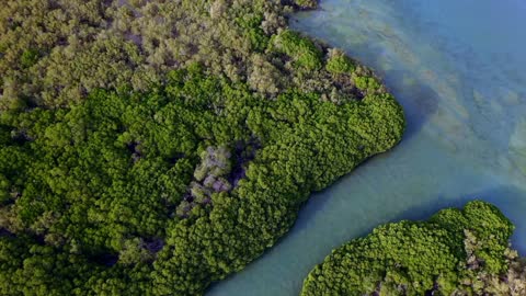 جزر فرسان جيزان غابات المانجروف لقطات جوية بالدرون