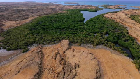 Farasan Islands Jizan Mangrove Forest Aerial Drone View