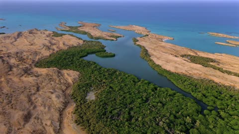 Farasan Island Jizan Mangrove Aerial Drone Footage