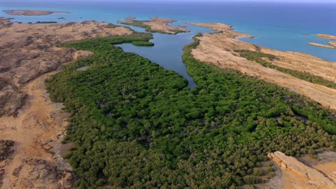 Farasan Island Jizan Mangrove Aerial Drone Video