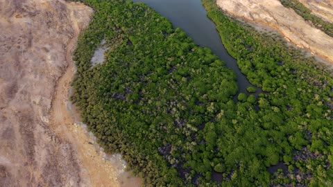 غابات المانجروف في جزر فرسان جيزان لقطة جوية