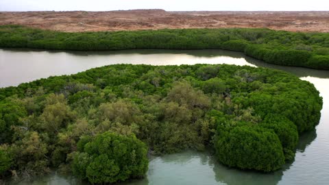 Farasan Island Jizan Mangrove Aerial Drone Footage